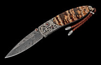 KC20566