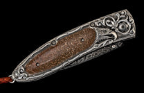 KC20654