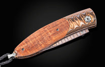 B05 ALOHI