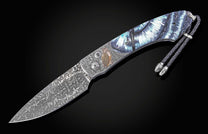 B12 Night Hunter