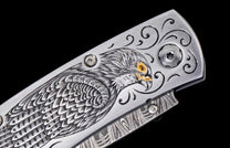 Falcon