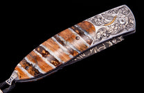 Mayfly