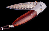 Retusa