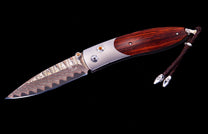 Retusa