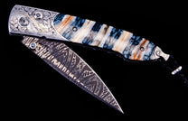Salamander