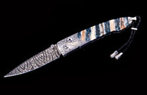 Salamander