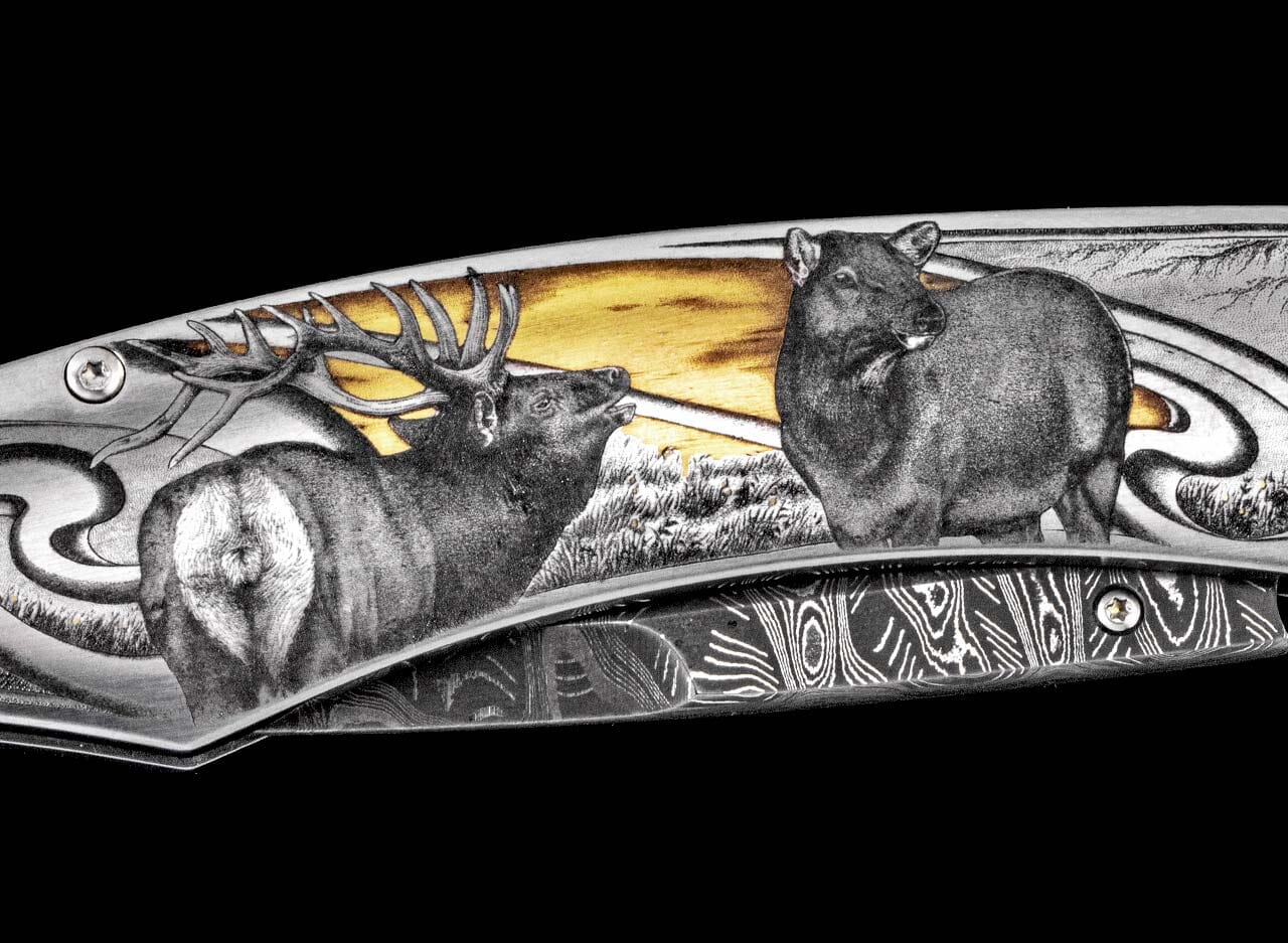 Autumn Elk III