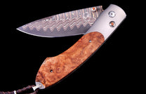 Broad Branch