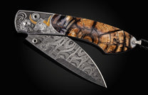 Longhorn III