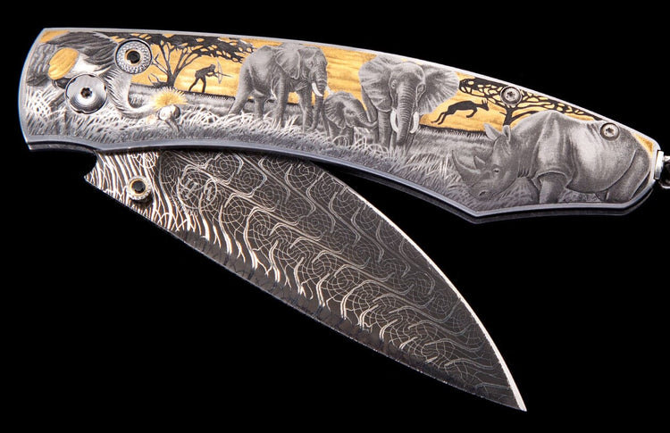 Safari