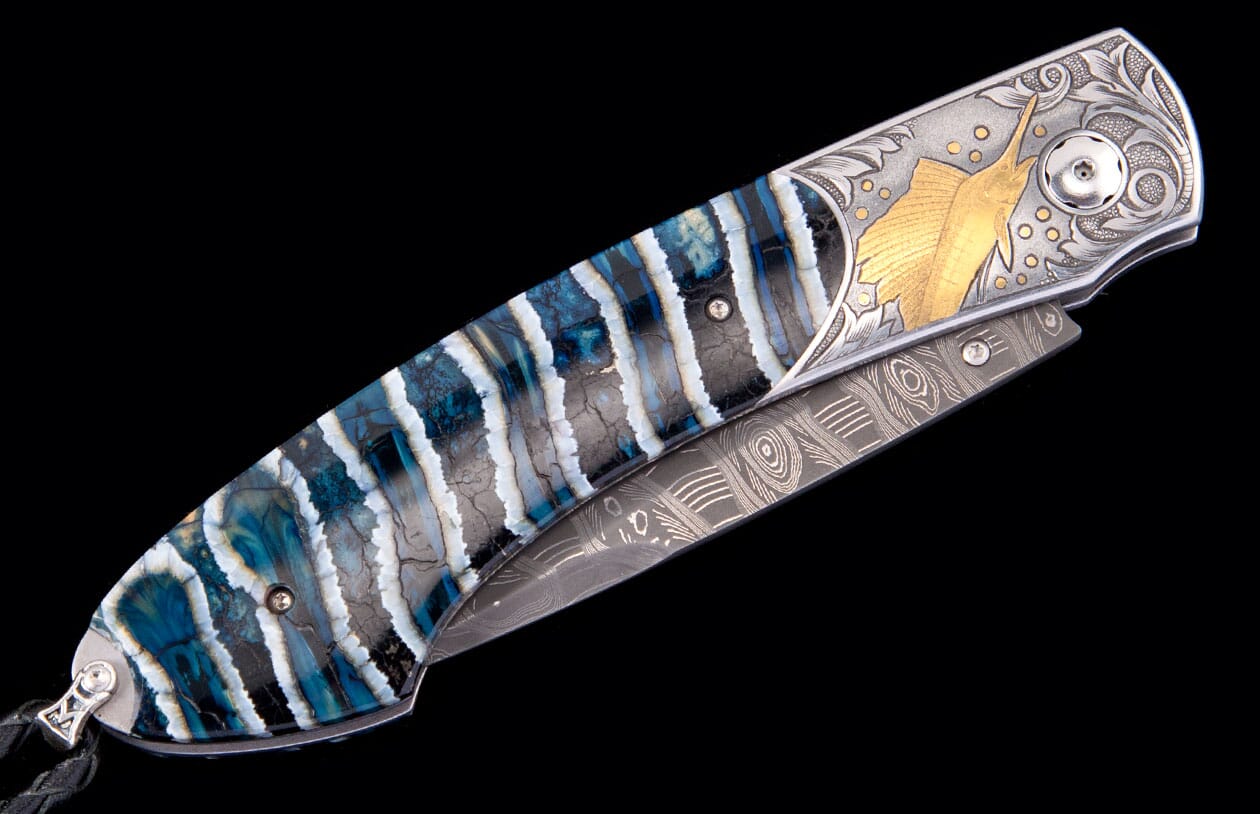 Sailfish