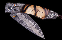 Talon