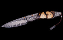Talon