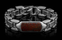 Dino Bone Identity