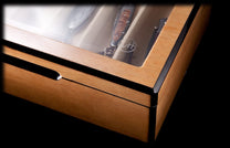 Collector Display Case - LT