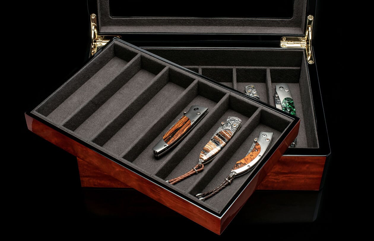 Collector Display Case