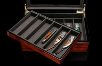 Collector Display Case