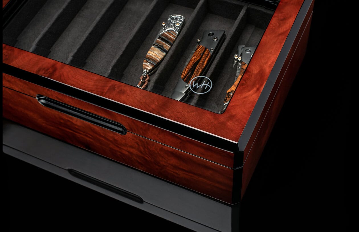 Collector Display Case