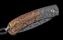 KC24029