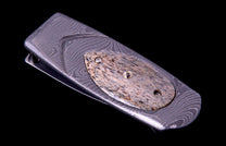 Geneva 'TDM'
