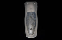 The Pharaoh Storm Titanium Mammoth Bone Money Clip
