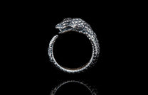 Ophion
