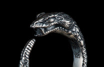 Ophion