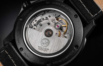 Special Edition - Pietersite