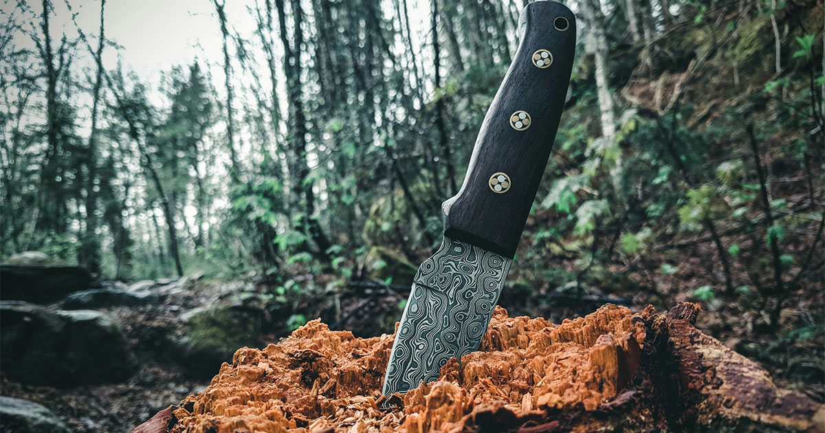 Jack Knife Doors
