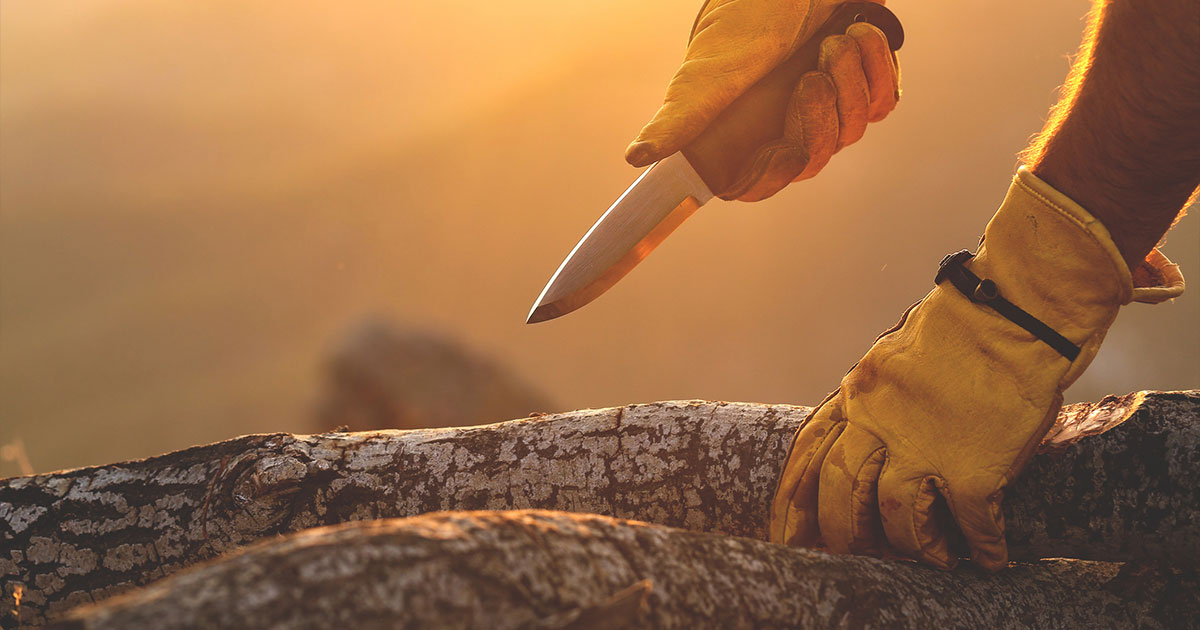 man cutting wood with pocket knife