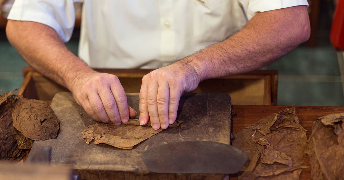 Man rolling cigars
